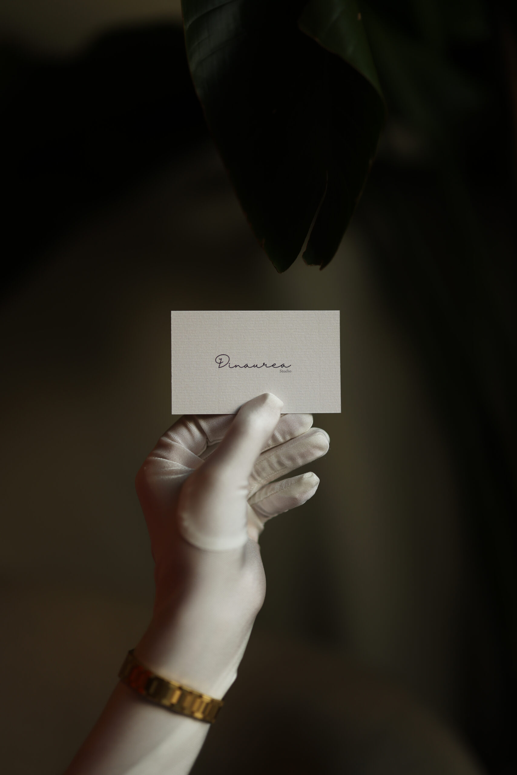 Image gallery marquee